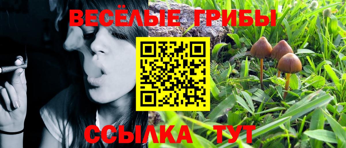 Псилоцибиновые грибы прущие грибы  Вход с VPN  Галлюциногенные грибы Magic Shrooms  наркошоп  Чапаевск 