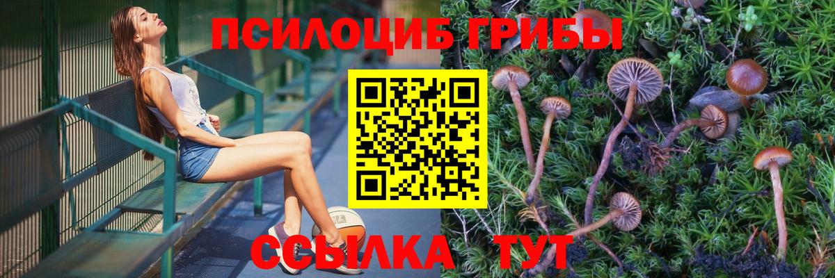 Псилоцибиновые грибы Cubensis Чапаевск